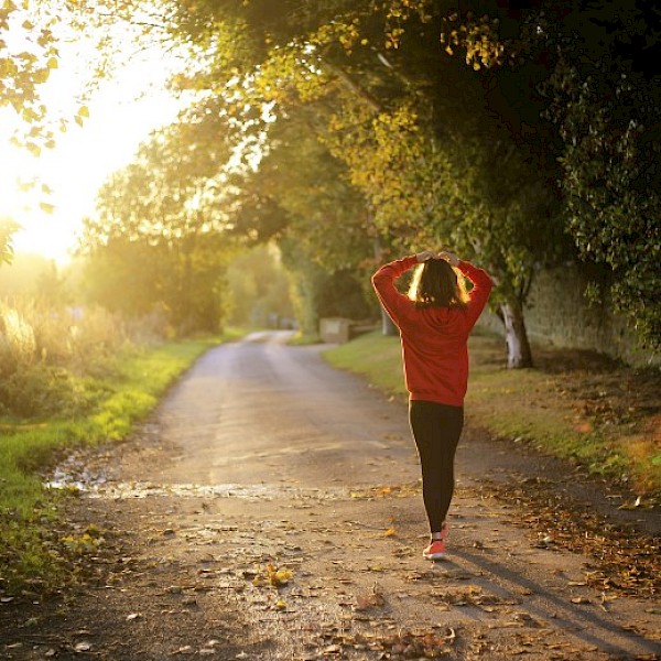 Take a short walk after eating your lunch to exercise more.