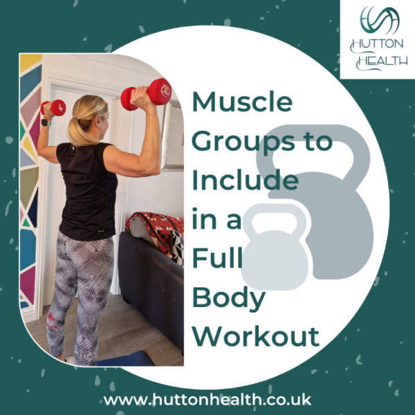 Muscle groups to include in a full body workout over 40