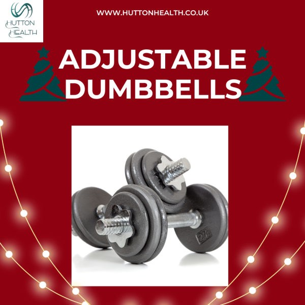 Christmas gift list for fitness lovers, adjustable dumbbells